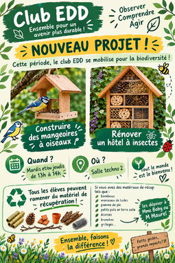 afficheEDD.png